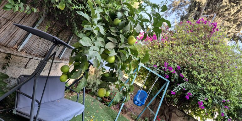 WhatsApp Image 2025-11-10 at 09.06.42